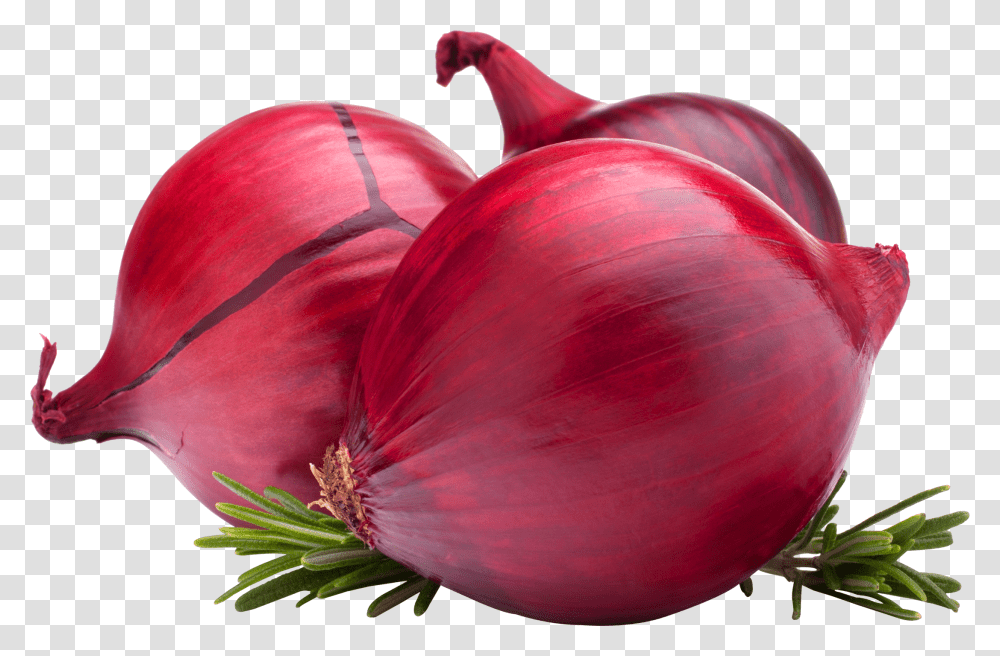 Red Onion, Plant, Shallot, Vegetable, Food Transparent Png