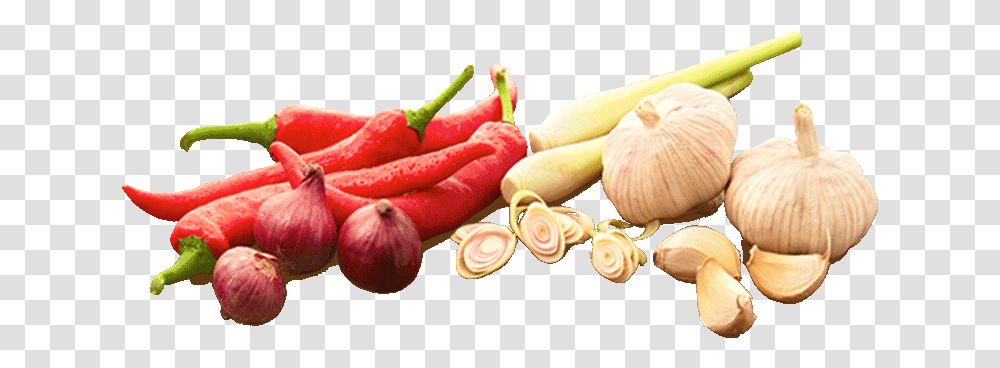 Red Onion, Plant, Vegetable, Food, Flower Transparent Png