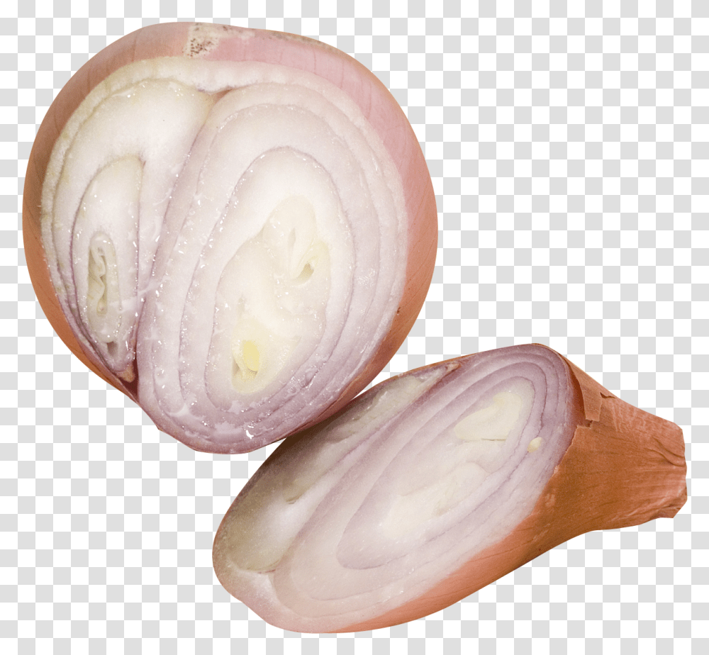 Red Onion, Plant, Vegetable, Food, Shallot Transparent Png