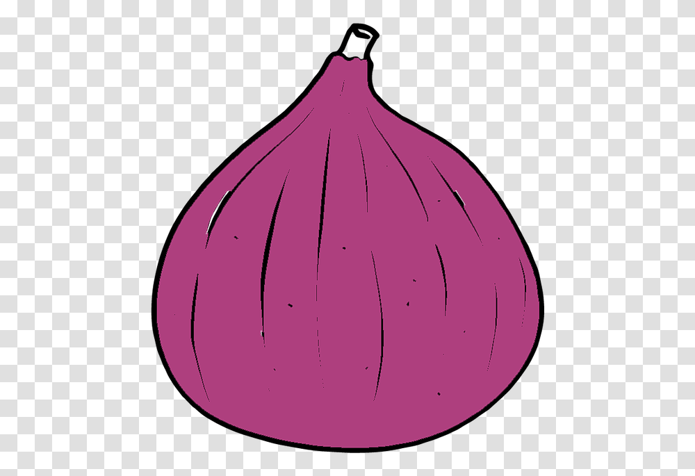 Red Onion, Plant, Vegetable, Food, Tent Transparent Png