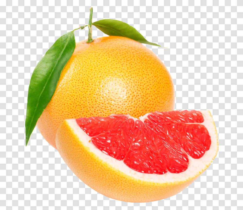 Red Orange Clipart 4 Grapefruit Clipart, Citrus Fruit, Plant, Food, Produce Transparent Png