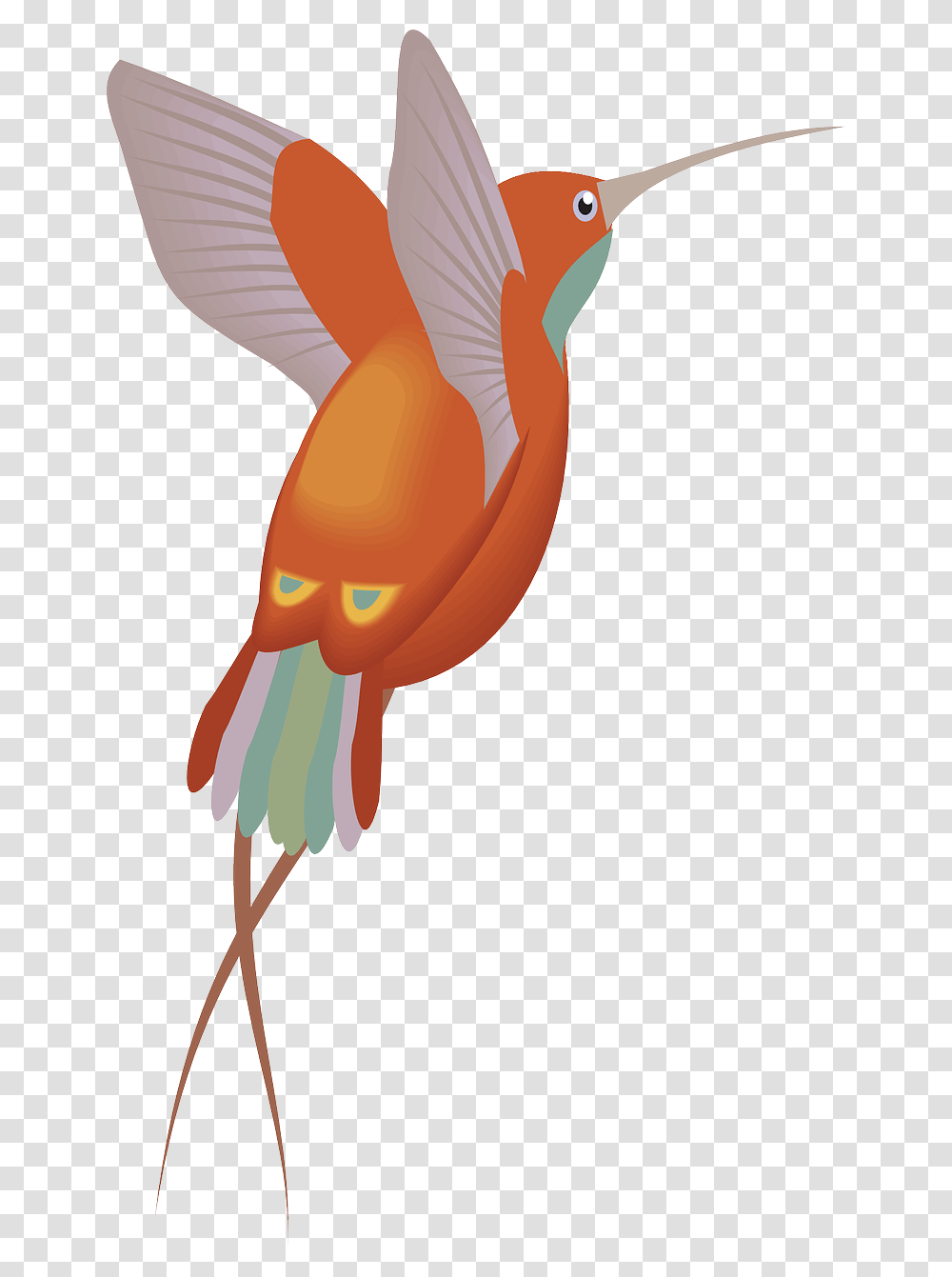 Red Orange Hummingbird Bird Wings Clip Art, Animal, Cardinal, Bee Eater, Clothing Transparent Png
