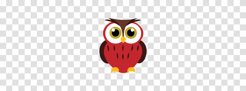 Red Owls, Animal, Bird, Poster, Advertisement Transparent Png