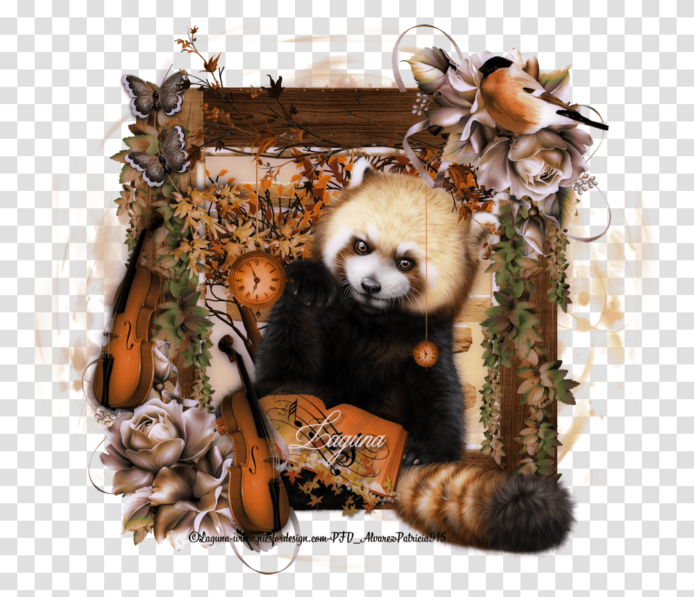 Red Panda, Bear, Wildlife, Mammal, Animal Transparent Png