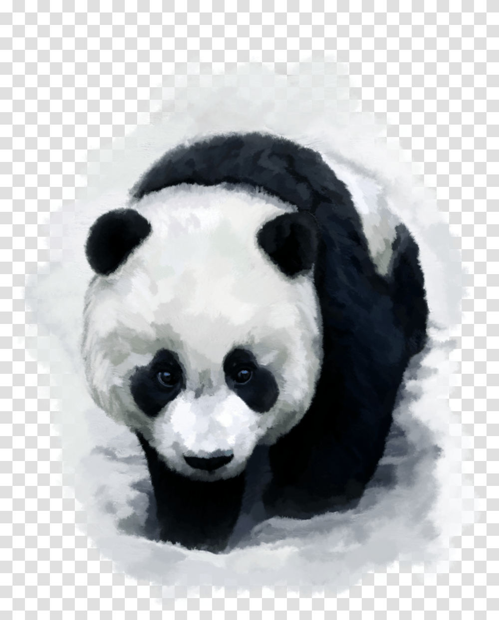 Red Panda Desktop Wallpaper Baby Pandas Trail Of The Panda Transparent Png