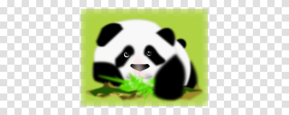 Red Panda Giant Panda Cat Drawing Greeting Note Cards Free, Bear, Wildlife, Mammal, Animal Transparent Png