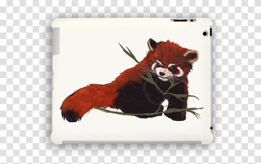 Red Panda Love Ipad Case Red Panda, Chicken, Bird, Animal, Lesser Panda Transparent Png