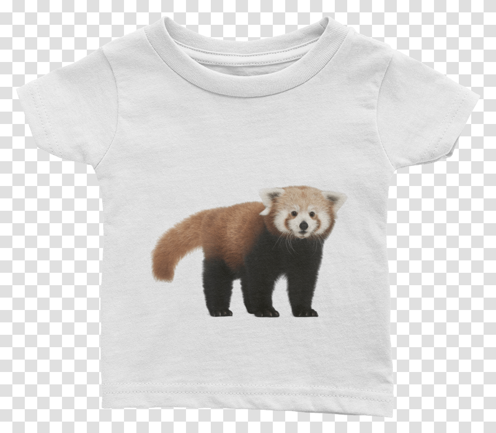 Red Panda Print Infant Tee Fisher, Apparel, Bear, Wildlife Transparent Png