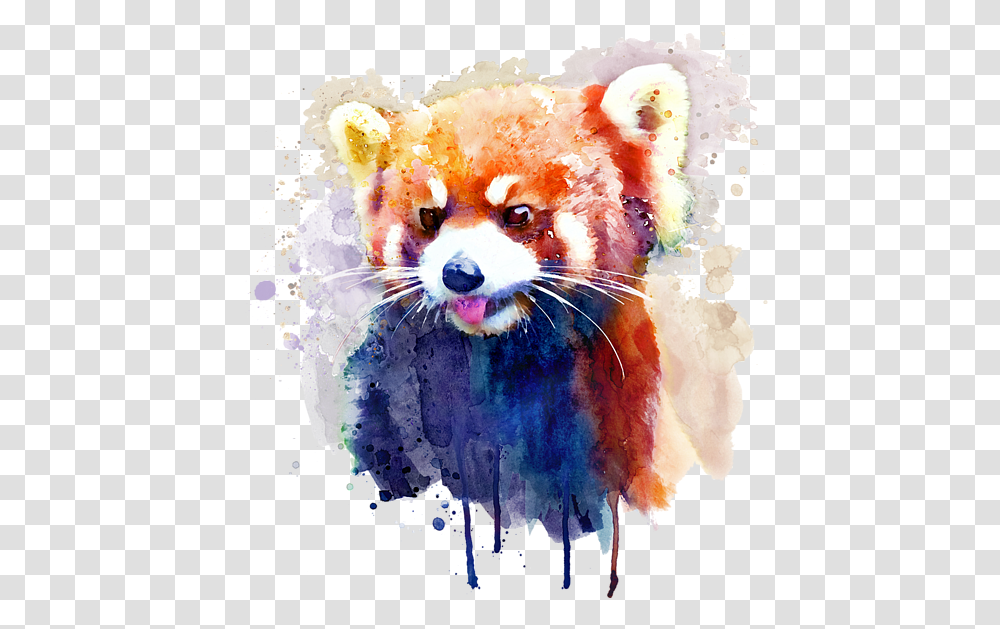 Red Panda Watercolor Painting, Bear, Wildlife, Mammal, Animal Transparent Png