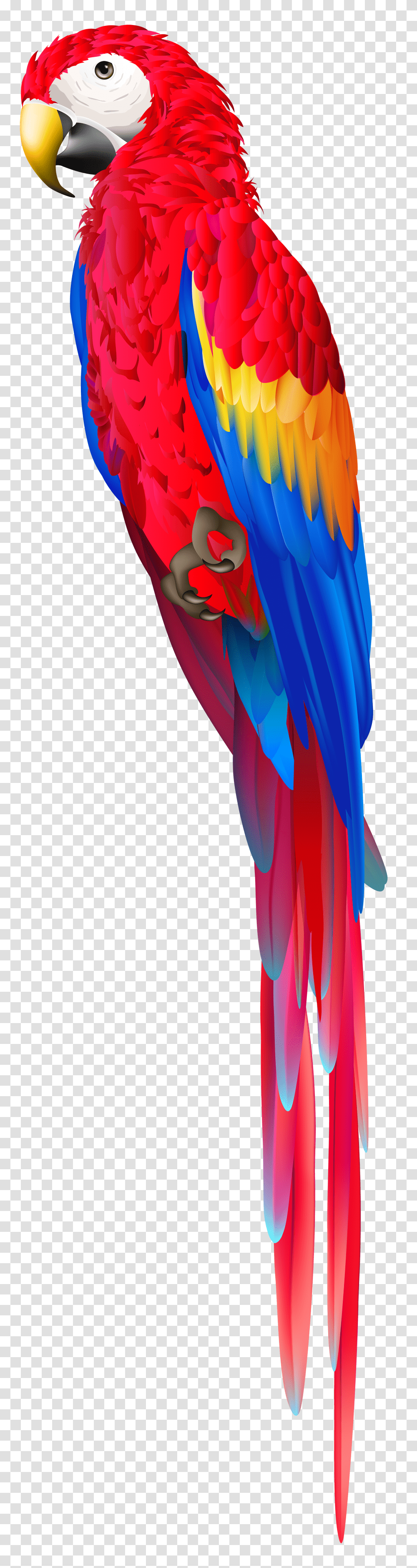 Red Parrot Clip Art, Animal, Bird, Modern Art Transparent Png