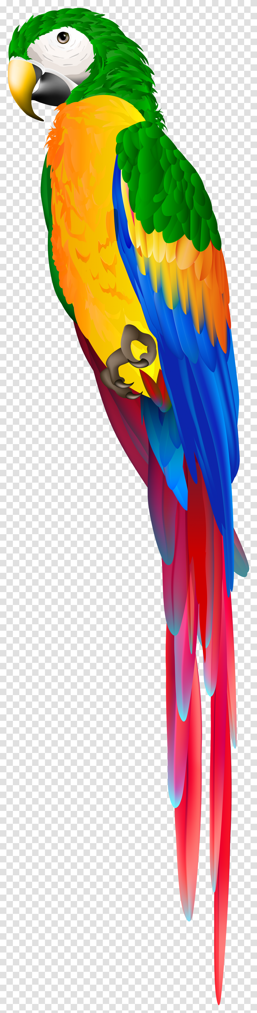 Red Parrot Clipart Parrot, Bird, Animal, Macaw Transparent Png