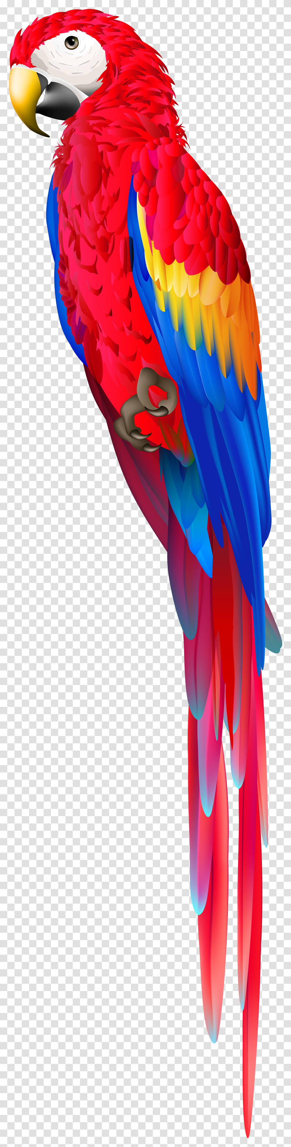 Red Parrot Clipart Red Parrot, Bird, Animal, Flying Transparent Png