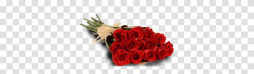 Red Passion One Dozen Dozen Of Roses, Plant, Flower, Blossom, Flower Bouquet Transparent Png