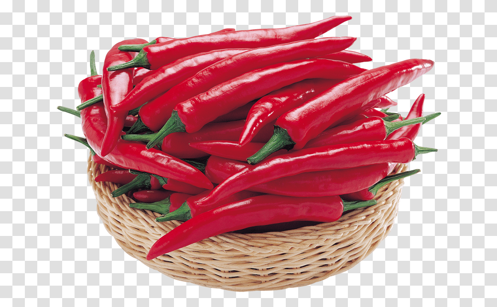 Red Pepper Sweet And Chili Peppers, Plant, Rose, Flower, Blossom Transparent Png