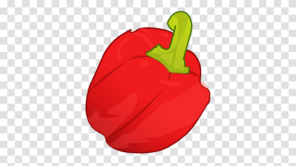 Red Pepper Vector Image, Plant, Vegetable, Food, Bell Pepper Transparent Png