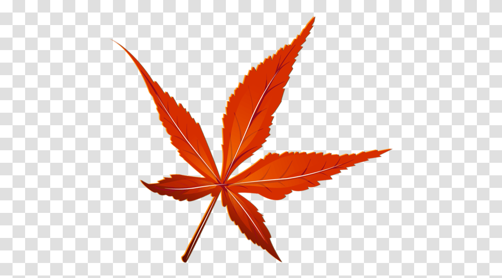 Red Picture Red Leaf, Plant, Tree, Bird, Animal Transparent Png