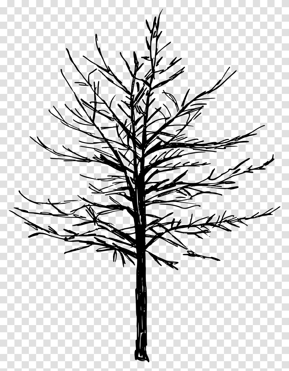 Red Pine, Gray, World Of Warcraft Transparent Png