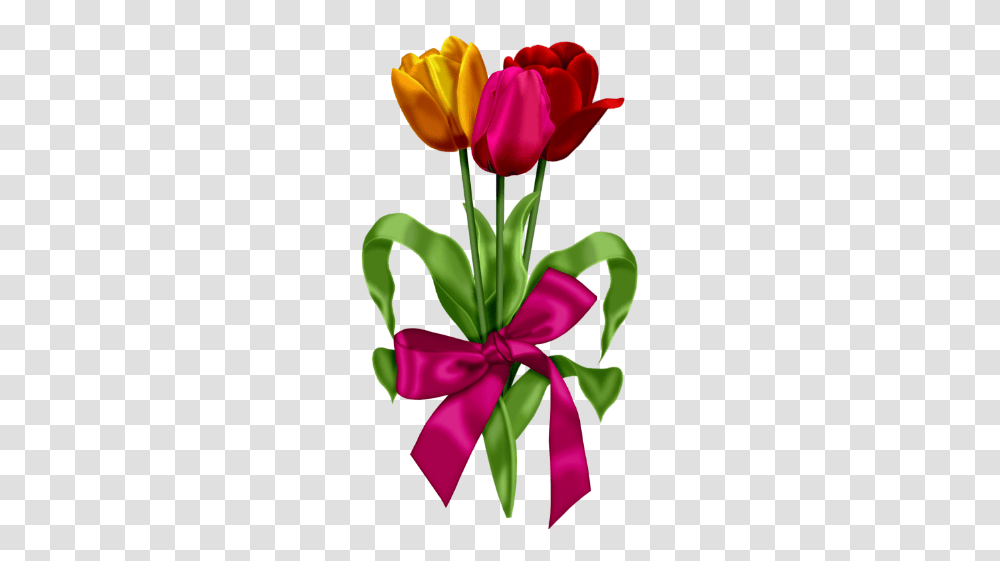 Red Pink And Yellow Tulips Clipart Flowers Yellow, Plant, Blossom, Flower Arrangement, Rose Transparent Png