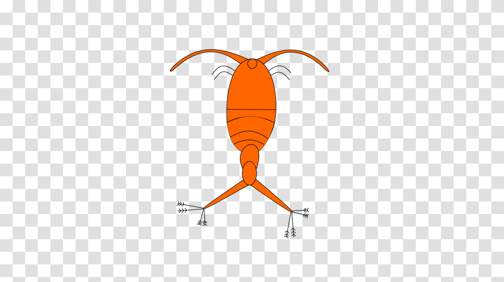 Red Plankton Image, Lamp, Invertebrate, Animal, Cockroach Transparent Png