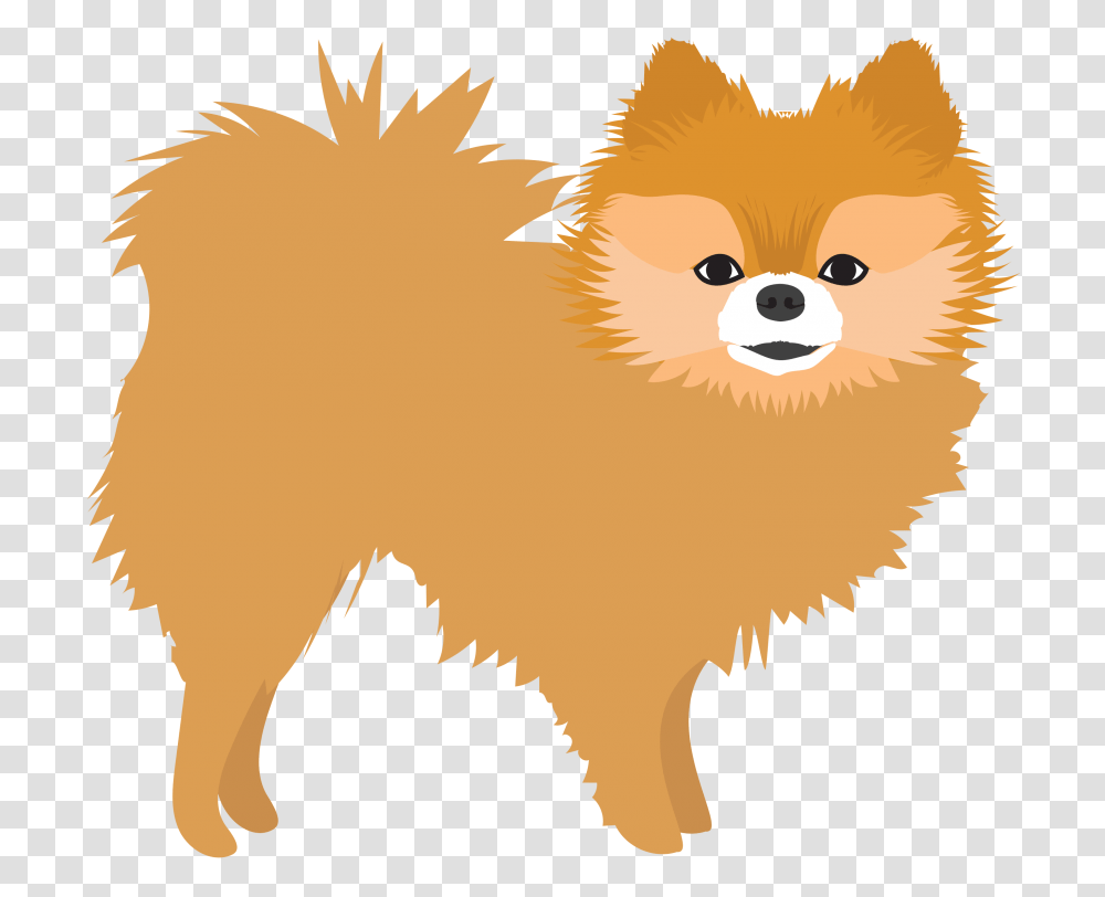 Red Pom, Animal, Mammal, Canine, Pet Transparent Png