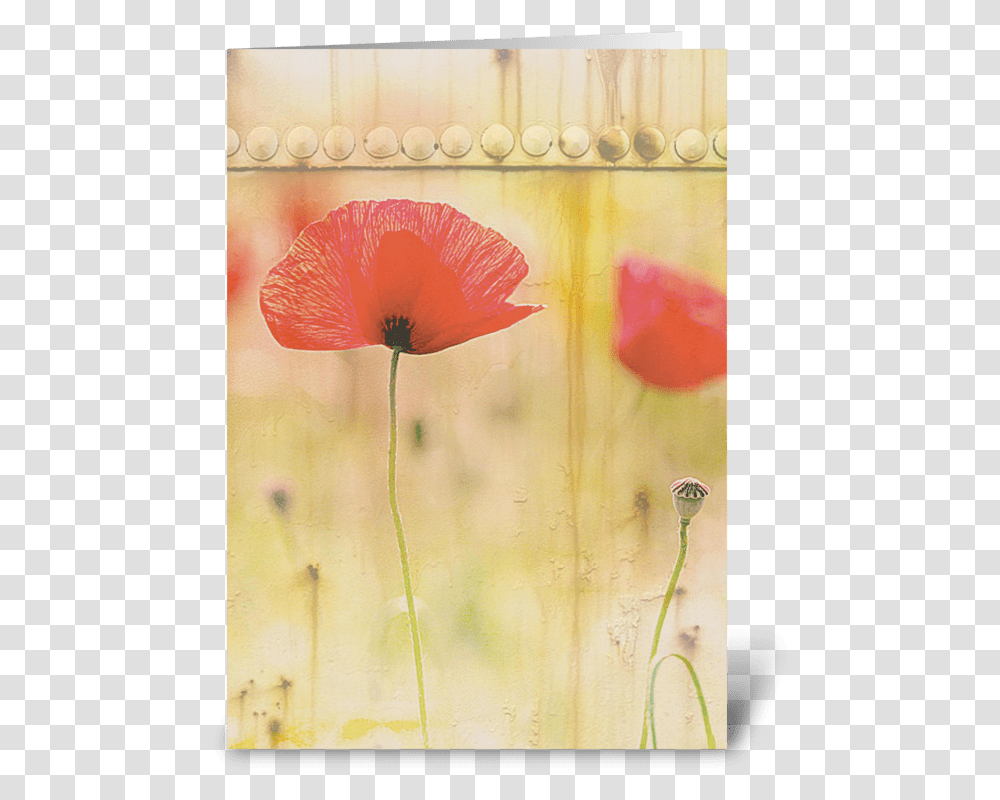Red Poppies Greeting Card Corn Poppy, Plant, Flower, Blossom Transparent Png