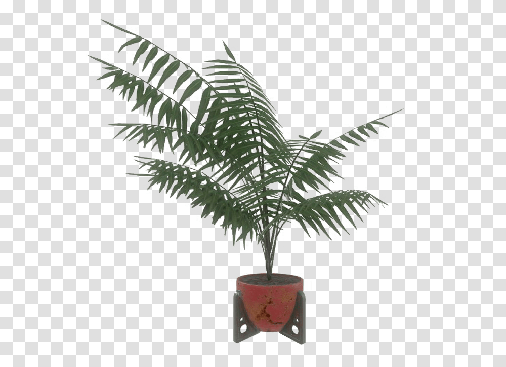 Red Potted Plant Houseplant, Tree, Palm Tree, Arecaceae, Leaf Transparent Png