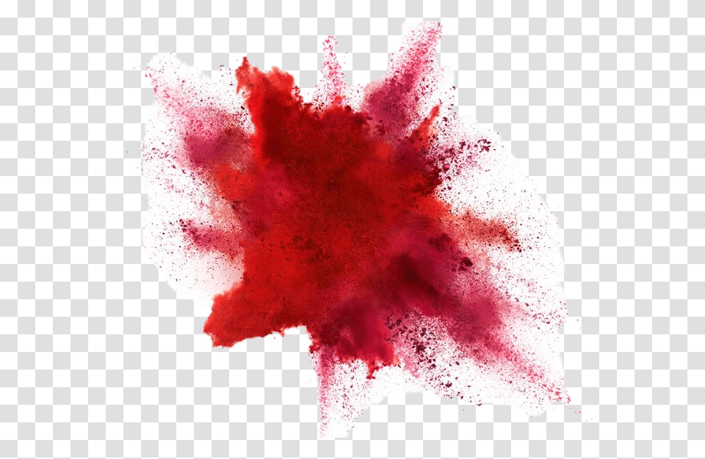 Red Powder Explosion, Petal, Flower, Plant, Blossom Transparent Png