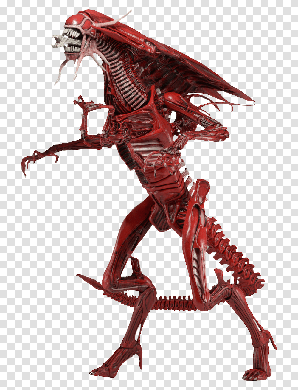 Red Queen Alien, Skeleton, Animal, Invertebrate, Scorpion Transparent Png