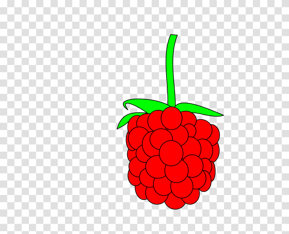 Red Raspberry Blackberry Computer Icons, Plant, Fruit, Food, Cherry Transparent Png