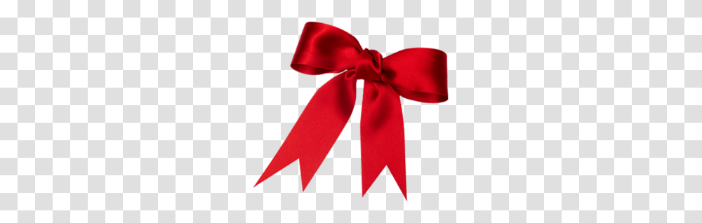 Red Ribbon For Large Gift Image, Tie, Accessories, Accessory, Necktie Transparent Png