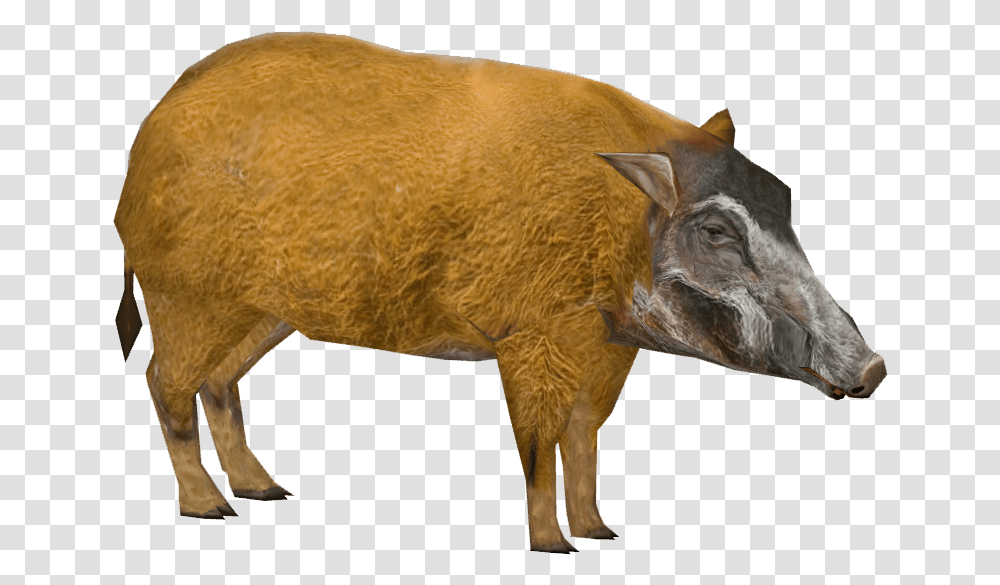 Red River Hog Dutchdesigns Zt2 Download Library Wiki Animal Figure, Pig, Mammal, Boar, Cow Transparent Png