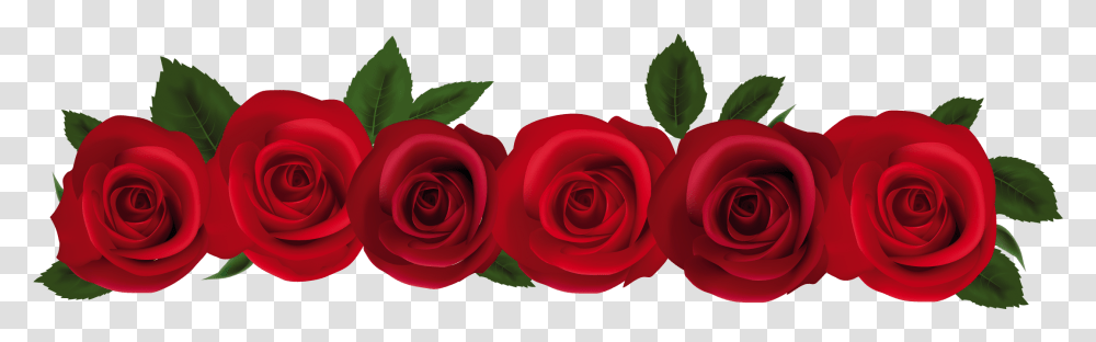 Red Rose Border Clip Art, Flower, Plant, Blossom, Petal Transparent Png