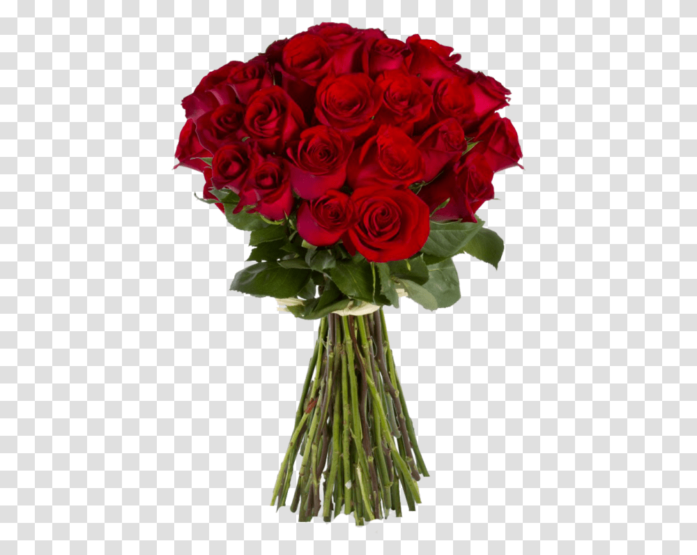 Red Rose Bouquet, Plant, Floral Design, Pattern Transparent Png