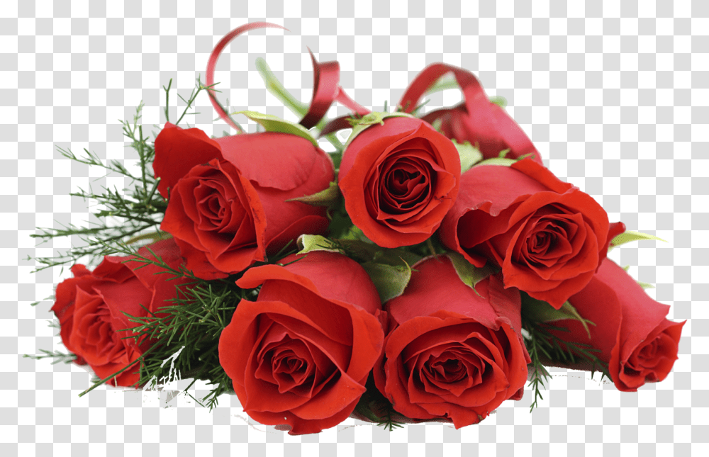 Red Rose Bouquet, Plant, Flower, Blossom, Flower Bouquet Transparent Png