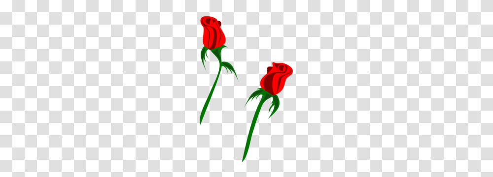 Red Rose Buds Clip Art, Flower, Plant, Blossom, Poppy Transparent Png