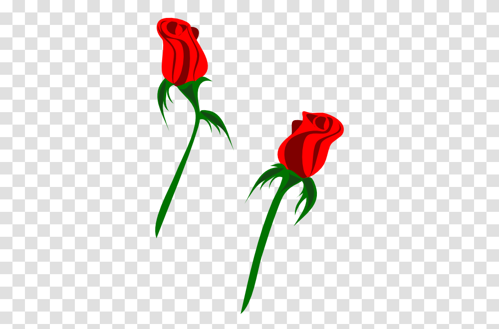 Red Rose Buds Clip Art, Flower, Plant, Blossom Transparent Png