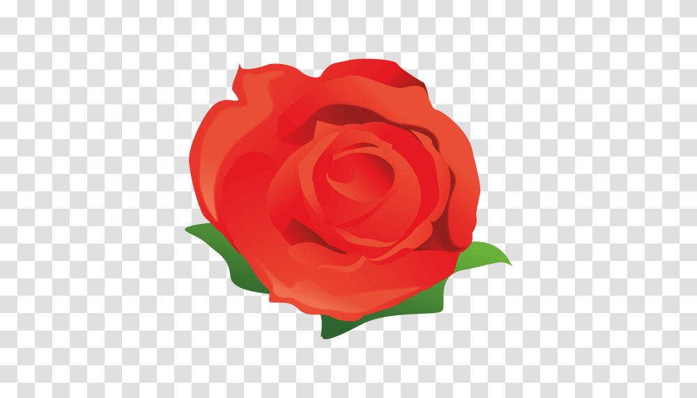 Red Rose Cartoon, Flower, Plant, Blossom, Petal Transparent Png