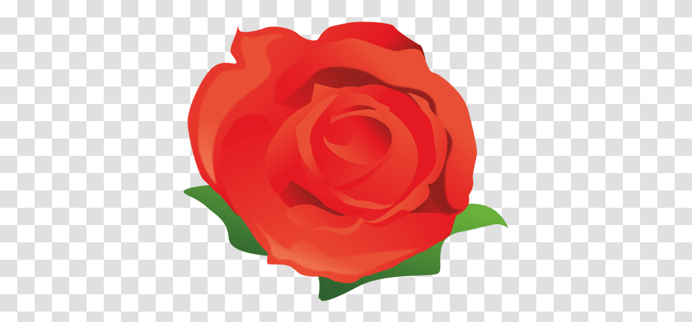 Red Rose Cartoon & Svg Vector File Rose Cartoon Background, Flower, Plant, Blossom Transparent Png
