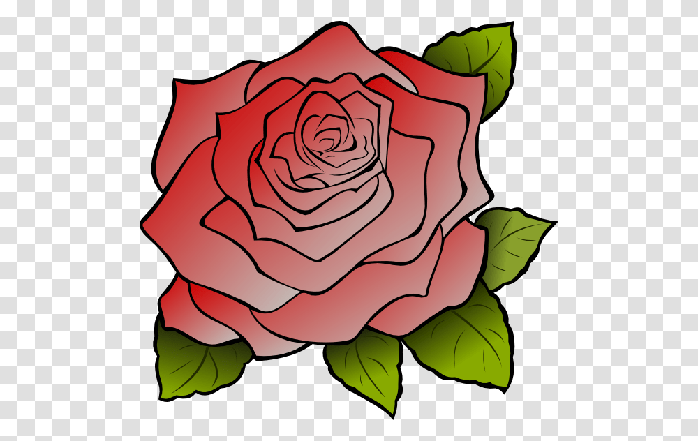 Red Rose Clip Art, Flower, Plant, Blossom, Petal Transparent Png