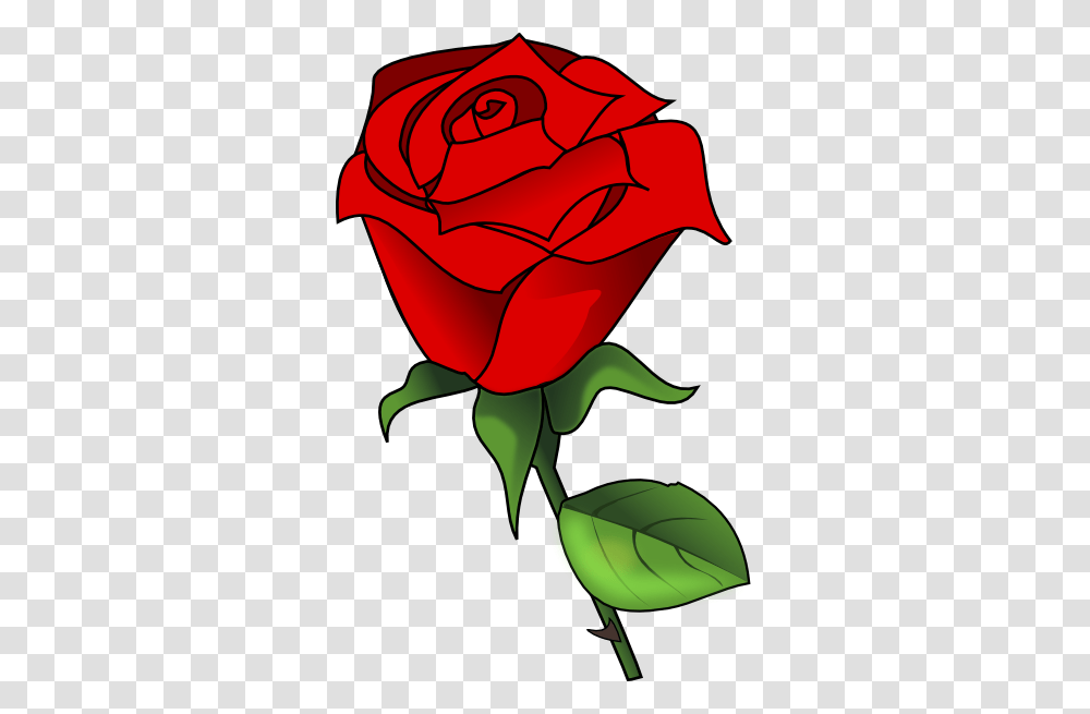 Red Rose Clip Art, Flower, Plant, Blossom, Petal Transparent Png