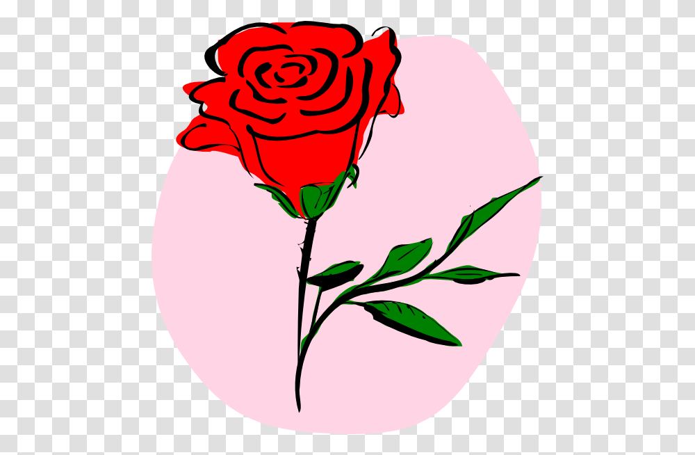 Red Rose Clip Art Free Vector, Flower, Plant, Blossom, Petal Transparent Png