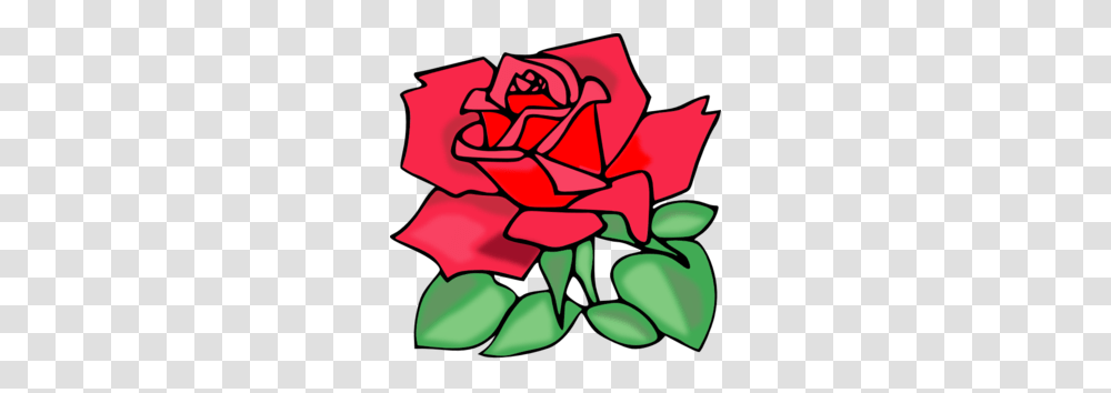 Red Rose Clip Art, Plant, Flower, Blossom Transparent Png