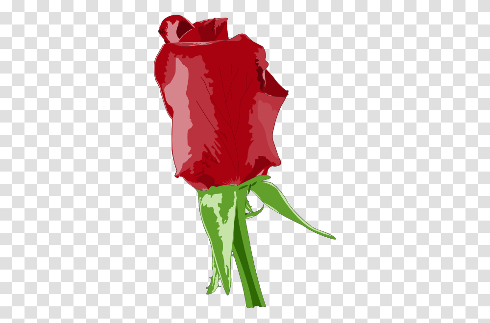 Red Rose Clip Art, Plant, Flower, Blossom, Leaf Transparent Png