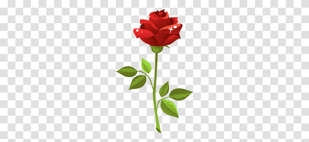 Red Rose Clip Art, Plant, Flower, Blossom, Petal Transparent Png