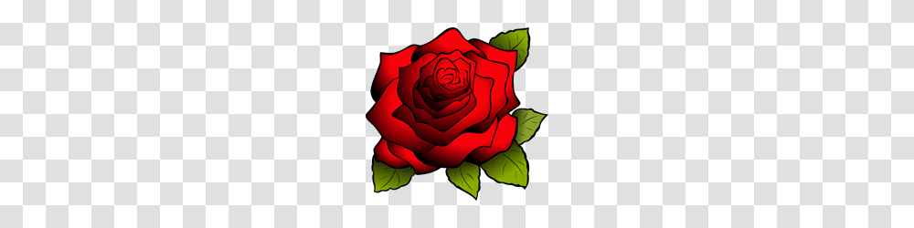 Red Rose Clip Arts For Web, Flower, Plant, Blossom, Petal Transparent Png