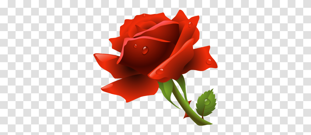 Red Rose Clipart Best Clipartsco Red Rose Vector, Flower, Plant, Blossom, Petal Transparent Png