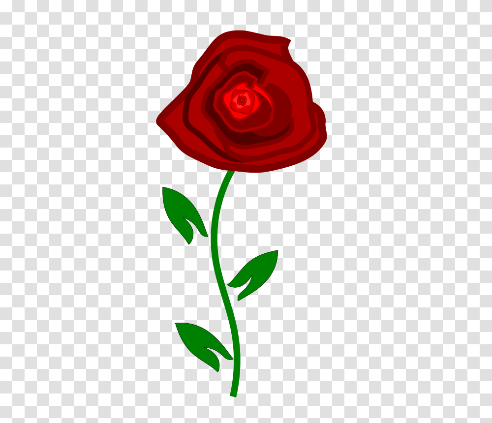 Red Rose Clipart, Flower, Plant, Blossom, Petal Transparent Png