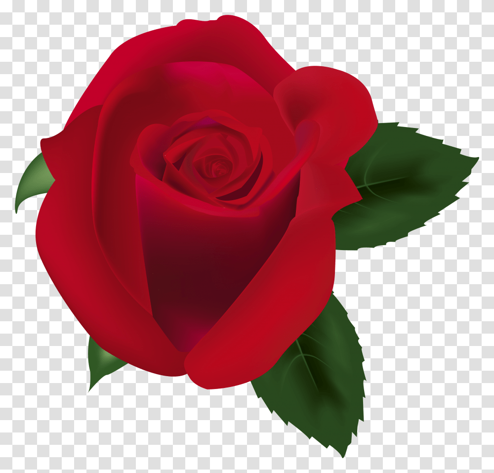 Red Rose Clipart Image Portable Network Graphics, Flower, Plant, Blossom, Petal Transparent Png