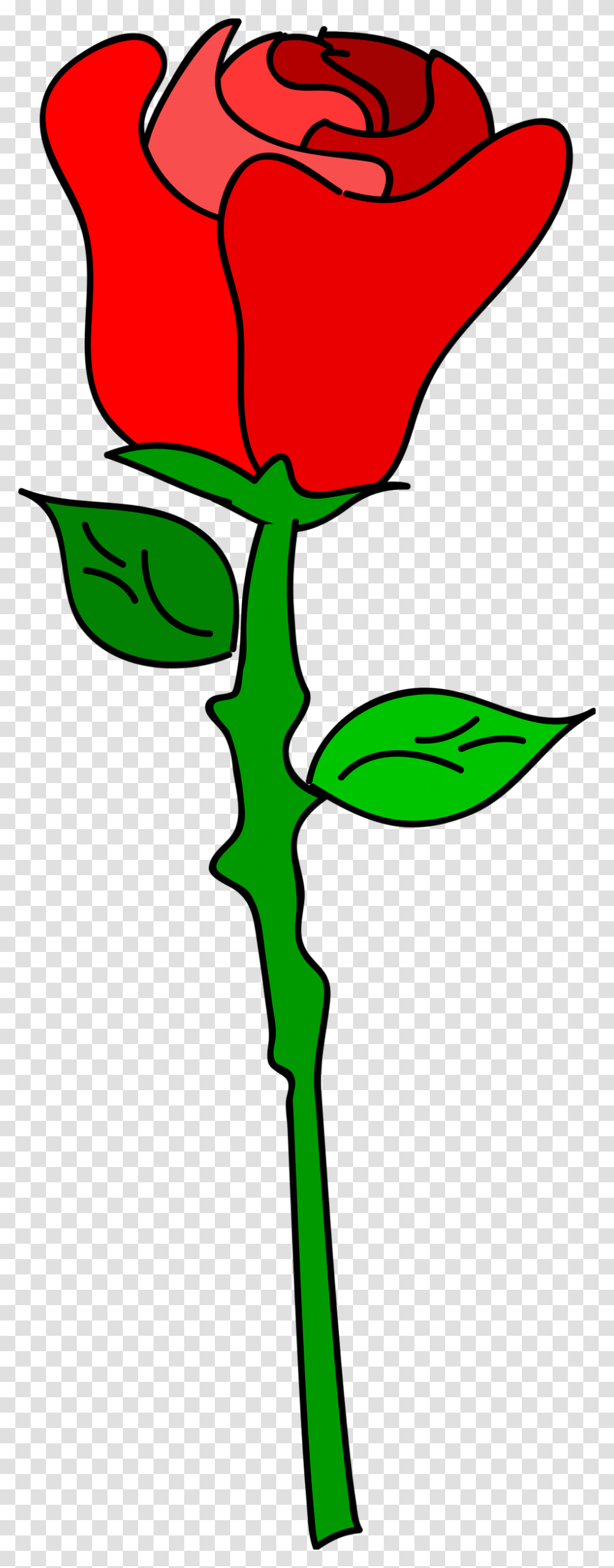 Red Rose Clipart Romance, Plant, Green, Food, Leaf Transparent Png