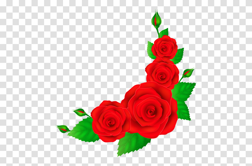 Red Rose Corner Otkrytka, Flower, Plant, Blossom, Petal Transparent Png